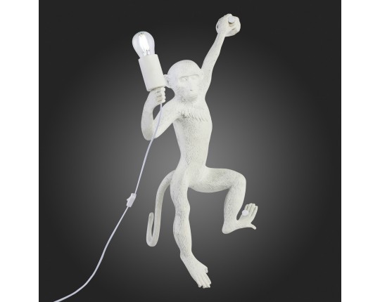 SLE115111-01 Светильник настенный Белый E27 1*60W