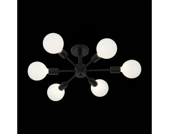 SL419.402.06 Светильник потолочный Черный E27 6*60W