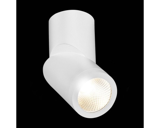 ST650.532.10 Светильник потолочный Белый LED 1*10W 3000K 800Lm Ra>90 38° IP44 D62xH151 165-265V