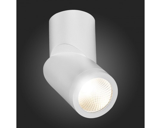 ST650.542.10 Светильник потолочный Белый LED 1*10W 4000K 800Lm Ra>90 38° IP44 D62xH151 165-265V