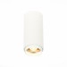 ST600.532.10 Светильник потолочный Zoom Белый LED 1*10W 3000K 1 000Lm Ra>80 15-60° IP20 D59xH130 170