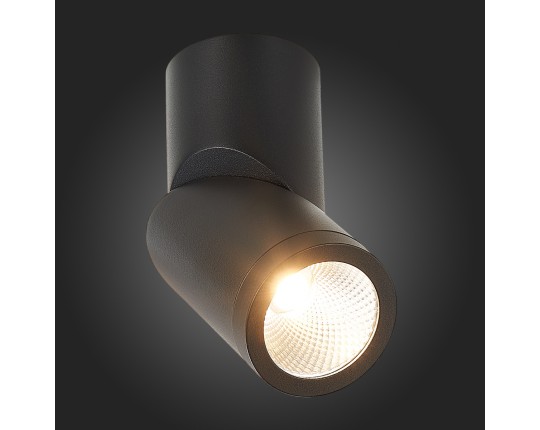 ST650.442.10 Светильник потолочный Черный LED 1*10W 4000K 800Lm Ra>90 38° IP44 D62xH151 165-265V