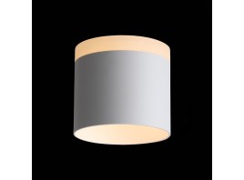 ST102.502.12 Светильник потолочный Белый LED 1*12W 3000K 936Lm Ra>80 120° IP20 D100xH90 170-240V