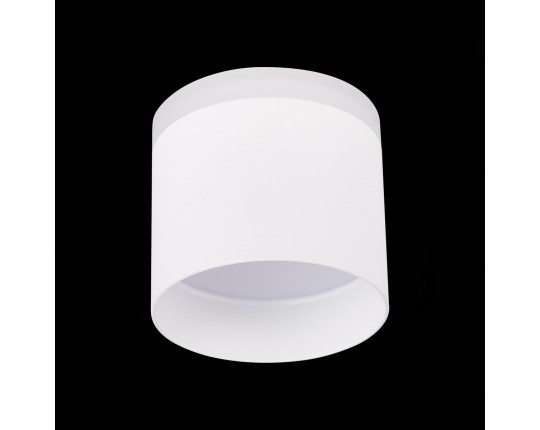 ST102.542.12 Светильник потолочный Белый LED 1*12W 4000K 936Lm Ra>80 120° IP20 D100xH90 170-240V