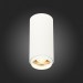 ST600.532.10 Светильник потолочный Zoom Белый LED 1*10W 3000K 1 000Lm Ra>80 15-60° IP20 D59xH130 170
