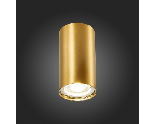 ST110.207.01 Светильник потолочный Золотистый GU10 1*50W  IP20 D54xH100 220V Без ламп