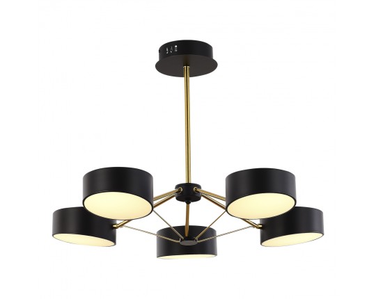 SLE6005-402-05 Светильник потолочный Черный, Золотистый/Черный LED 5*10W