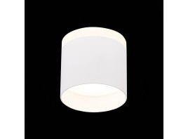 ST102.542.09 Светильник потолочный Белый LED 1*9W 4000K 702Lm Ra>80 120° IP20 D79xH75 170-240V