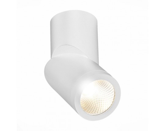 ST650.532.10 Светильник потолочный Белый LED 1*10W 3000K 800Lm Ra>90 38° IP44 D62xH151 165-265V