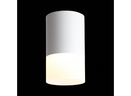 ST100.502.05 Светильник потолочный Белый LED 1*5W 3000K 390Lm Ra>80 120° D64xH110 170-240V