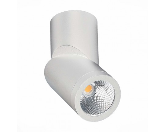 ST650.532.10 Светильник потолочный Белый LED 1*10W 3000K 800Lm Ra>90 38° IP44 D62xH151 165-265V