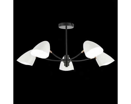 SLE103602-05 Светильник потолочный Черный, Золотой/Белый E14 5*40W