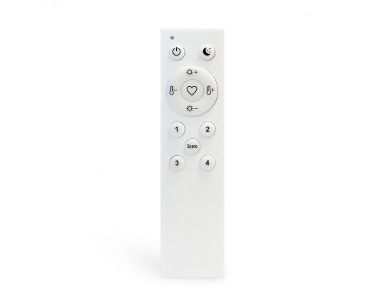 ST015.500.98 Пульт управления для SKYLINE 220/ SKYLINE 48 Белый