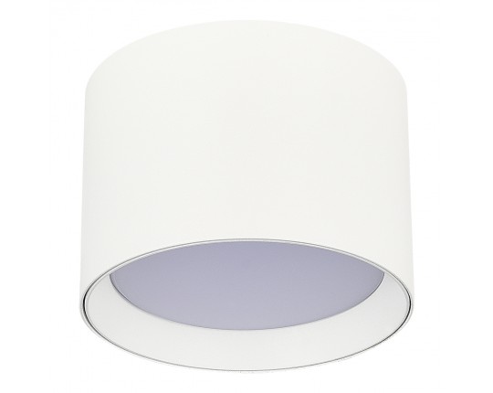 ST163.502.01 Светильник потолочный Белый GX53 1*50W IP20 D85xH60 220V Без ламп