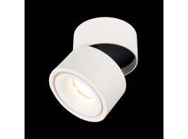 ST652.542.12 Светильник потолочный Белый LED 1*12W 4000K 1 000Lm Ra>90 36° IP20 D100xH105 170-240VV