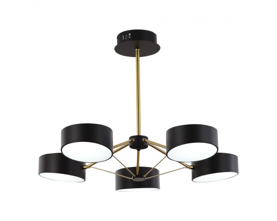 SLE6005-402-05 Светильник потолочный Черный, Золотистый/Черный LED 5*10W