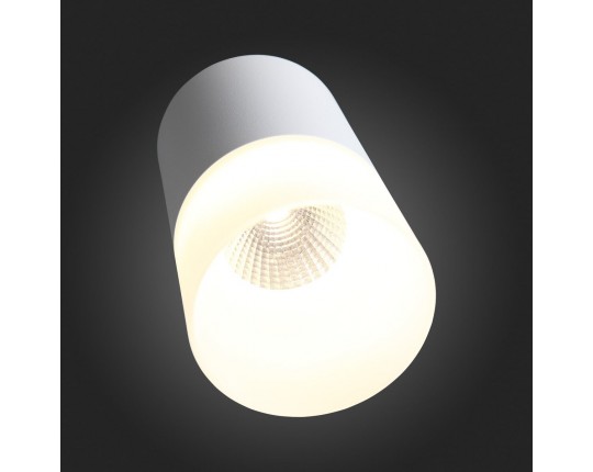 ST100.502.10 Светильник потолочный Белый LED 1*10W 3000K 780Lm Ra>80 120° D78xH135 170-240V