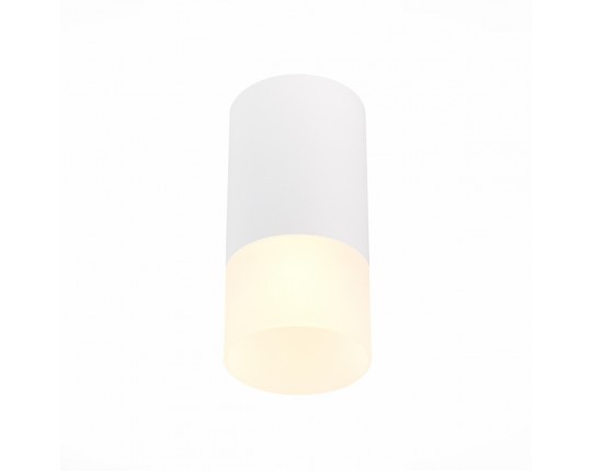 ST100.512.01 Светильник потолочный Белый GU10 1*50W IP20 D64xH131 220V Без ламп