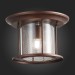 SL080.402.01 Светильник уличный потолочный ST-Luce Темный кофе/Прозрачный, Темный кофе E27 1*60W