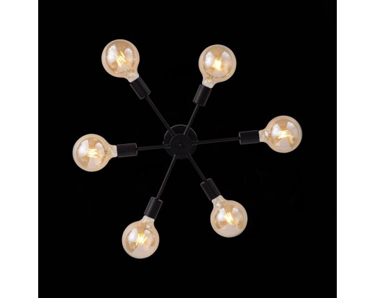 SL419.402.06 Светильник потолочный Черный E27 6*60W