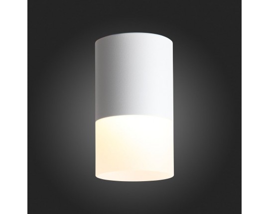 ST100.502.10 Светильник потолочный Белый LED 1*10W 3000K 780Lm Ra>80 120° D78xH135 170-240V