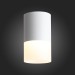 ST100.502.10 Светильник потолочный Белый LED 1*10W 3000K 780Lm Ra>80 120° D78xH135 170-240V
