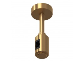 ST026.202.00 Крепление с одиночным фиксатором ST-Luce Золотистый