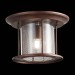 SL080.402.01 Светильник уличный потолочный ST-Luce Темный кофе/Прозрачный, Темный кофе E27 1*60W