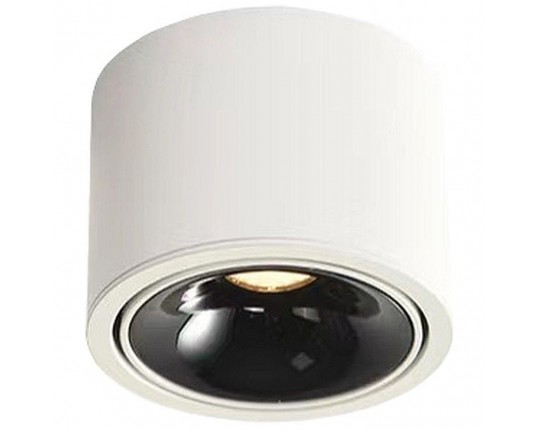 Потолочный светодиодный светильник Wertmark Altair WTA.O06.067.30.12