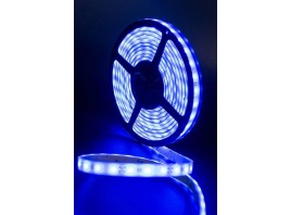 Светодиодная влагозащищенная лента SWG 14,4W/m 60LED/m 5050SMD синий 5M 001848