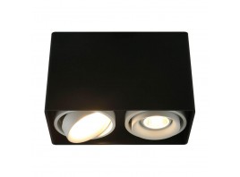 Потолочный светильник Arte Lamp A5655PL-2BK