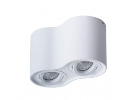 Потолочный светильник Arte Lamp Falcon A5645PL-2WH