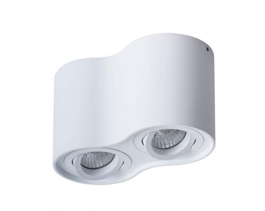 Потолочный светильник Arte Lamp Falcon A5645PL-2WH