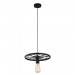 Подвесной светильник Toplight Vanessa TL1201H-01BK