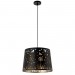 Подвесной светильник Arte Lamp Celesta A2768SP-1BK