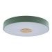 Потолочный светодиодный светильник Loft IT Axel 10003/24 green