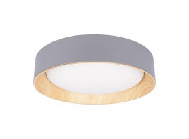 Потолочный светодиодный светильник Loft IT Coin 10202 Grey