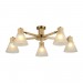 Потолочная люстра Arte Lamp Meleph A4096PL-5BR