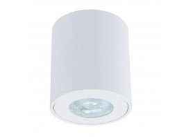 Потолочный светильник Arte Lamp Tino A1469PL-1WH