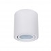 Потолочный светильник Arte Lamp Beid A1513PL-1WH