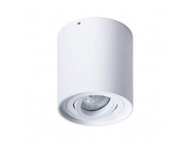 Потолочный светильник Arte Lamp Falcon A5645PL-1WH