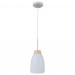 Подвесной светильник Loft IT Watchman Loft4402A-Wh