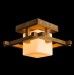 Потолочный светильник Arte Lamp 95 A8252PL-1BR