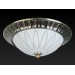 Накладной светильник Toplight Paulina TL5050Y-02AB