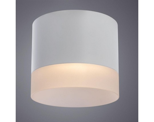 Потолочный светильник Arte Lamp Castor A5554PL-1WH