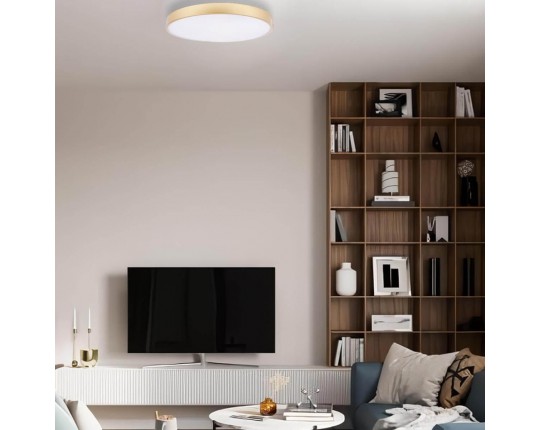 Потолочный светодиодный светильник Loft IT Flims 10228/B