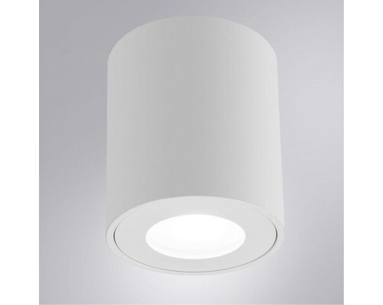 Потолочный светильник Arte Lamp Tino A1469PL-1WH