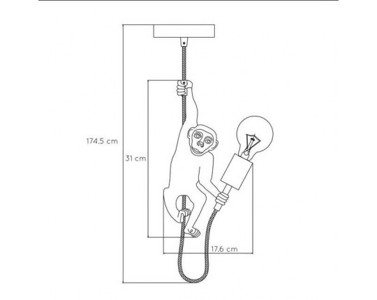 Подвесной светильник Lucide Extravaganza Chimp 10402/01/30
