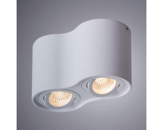 Потолочный светильник Arte Lamp Falcon A5645PL-2WH